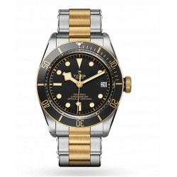 Tudor Black Dial Bracelet Gents Watch M79733N-0008