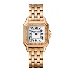 Panthère de Cartier Watch WJPN0009